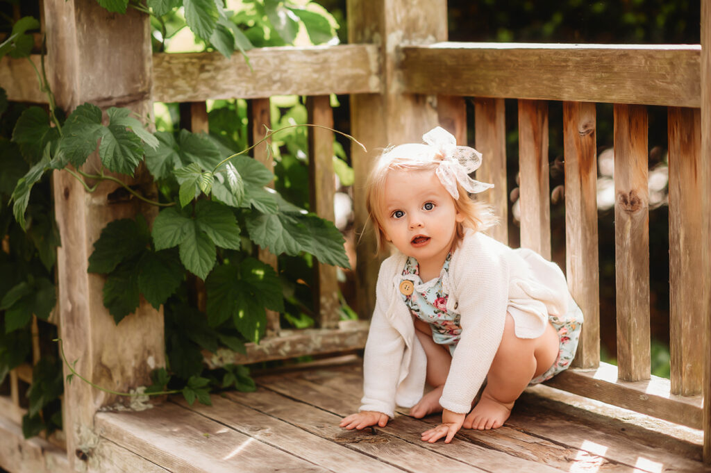 Toddler photographed for Milestone Photos in Asheville, NC.