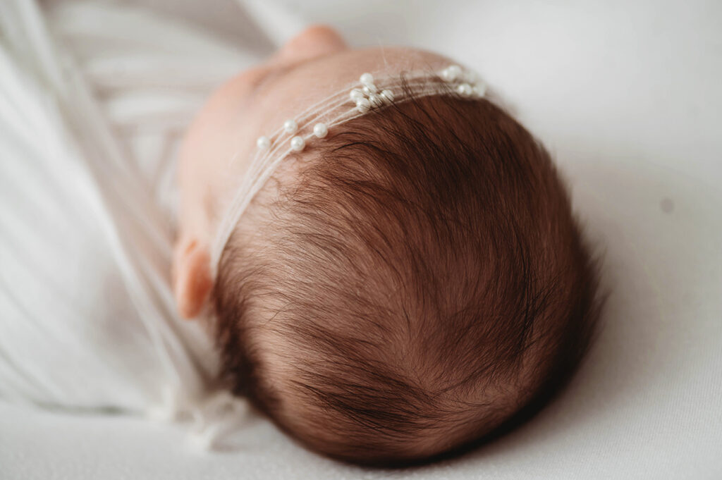Newborn Baby posed in an all white set during a Newborn Portrait Session in Asheville, NC.