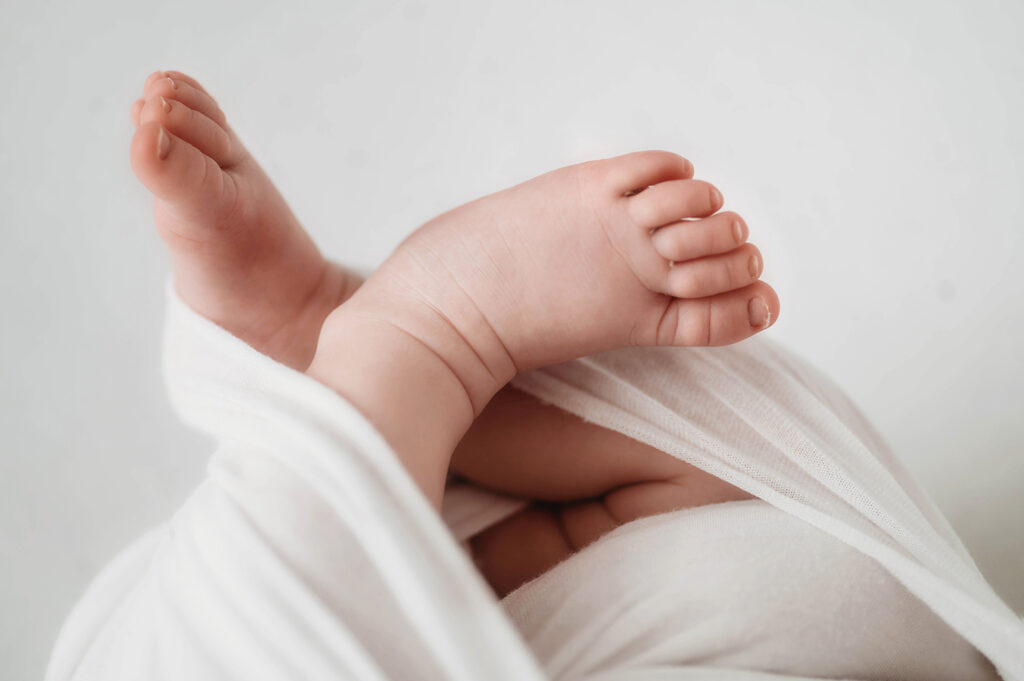 Newborn Baby posed in an all white set during a Newborn Portrait Session in Asheville, NC.