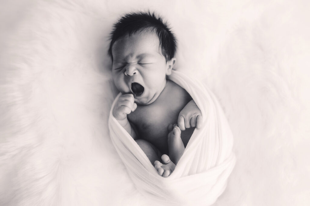 Newborn Baby posed his for Newborn Portrait Session at Asheville, NC Newborn Photography Studio.
