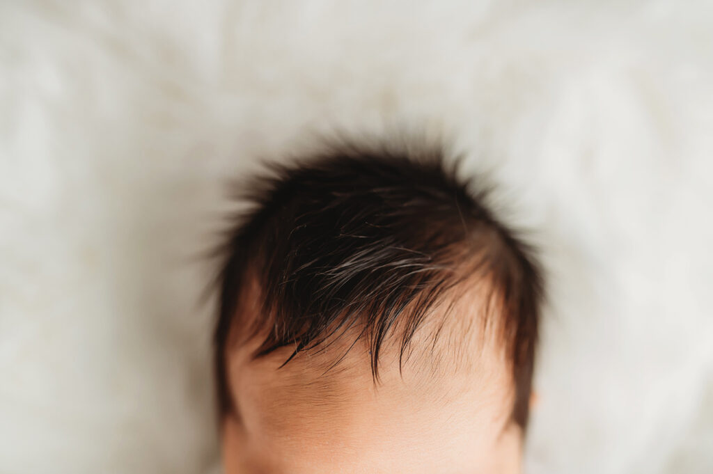 Newborn Baby's tiny details photographed during a Newborn Portrait Session at Asheville, NC Newborn Photography Studio.