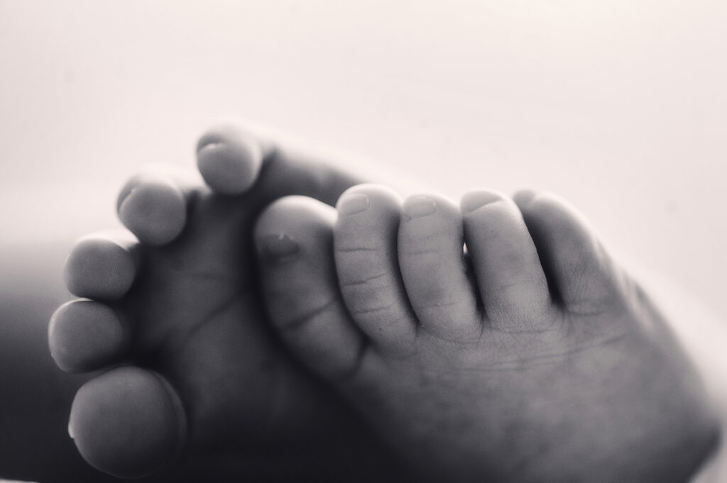 Newborn Baby's tiny details photographed during a Newborn Portrait Session at Asheville, NC Newborn Photography Studio.