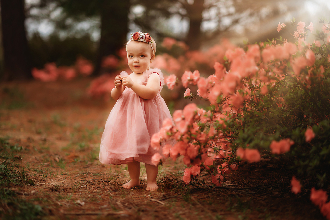Toddler poses for Photos during a Family Photoshoot in Asheville, NC.