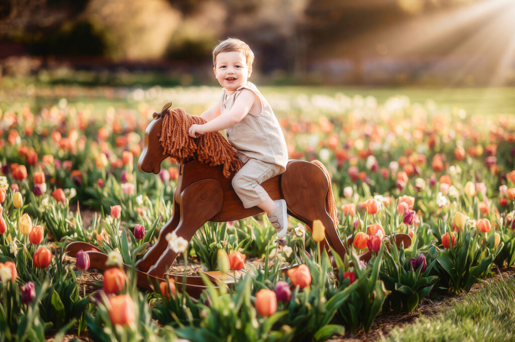 Little boy rides an antique rocking horse among the Tulips at Biltmore Estate in the spring in Asheville, NC.
