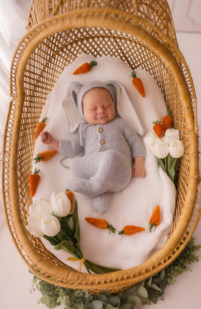 Asheville Newborn Photography Studio provides the Best Newborn Photos in Asheville. Portrait of a Newborn Baby boy posed for his Infant Photoshoot in Asheville.