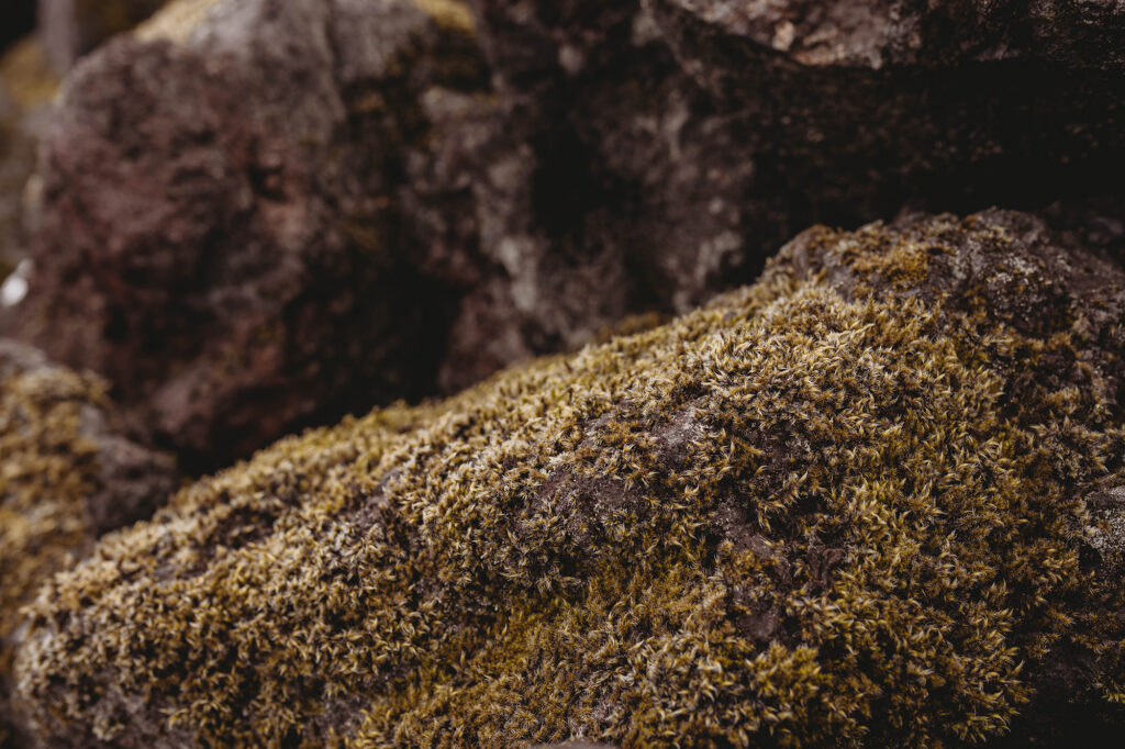 Landscape Photo in Iceland.