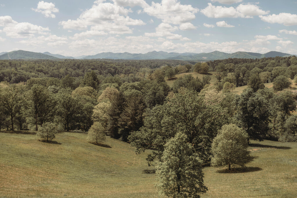 Biltmore Estate in Asheville, NC