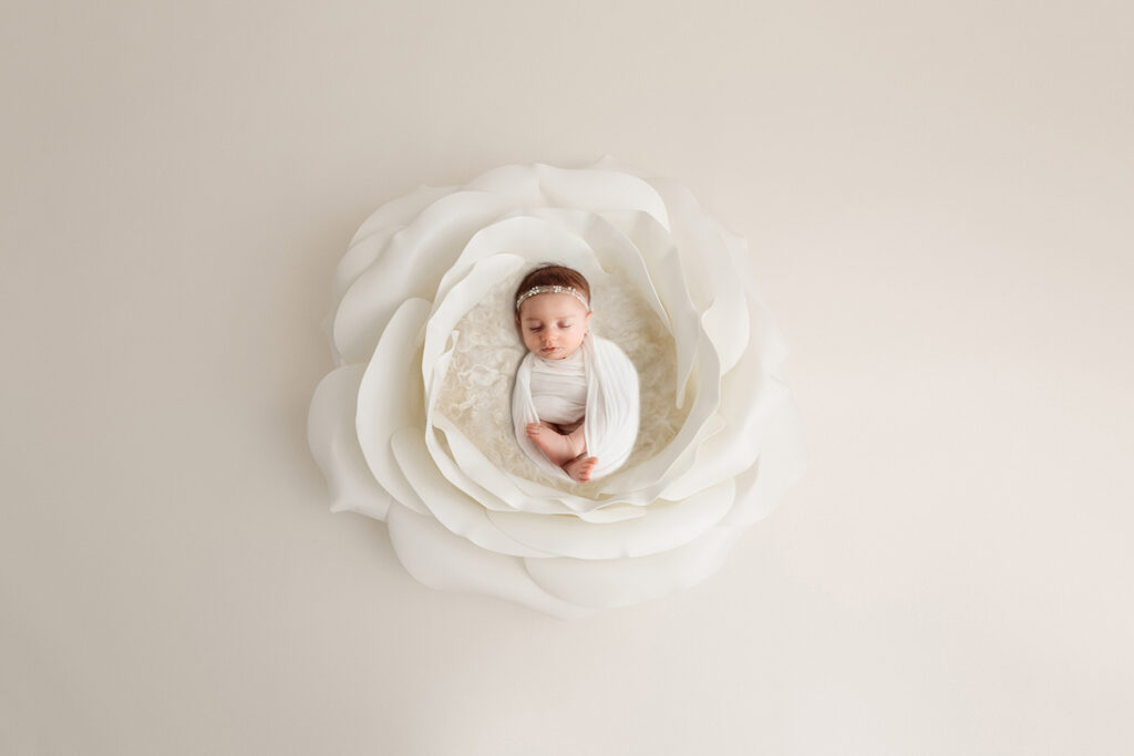 Newborn Baby posed in a white rose set during Newborn Portrait Session in Asheville, NC.